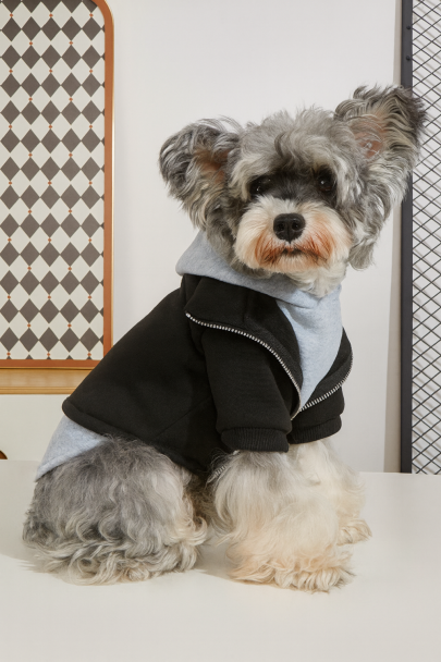 ChatGPT Image 25 nov 2025, 13_29_47